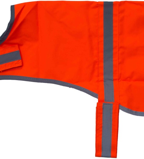 orangeseite1 orangeseite1